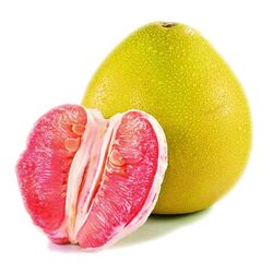 Buy  POMELO FRUIT from Fresh Fruit Mart Llc in UAE