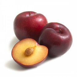 Buy PLUM from Fresh Fruit Mart Llc in UAE