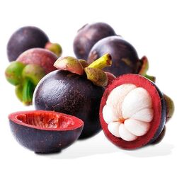 Buy MANGOSTEEN from Fresh Fruit Mart Llc in UAE