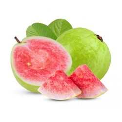 Buy GUAVA  from Fresh Fruit Mart Llc in UAE