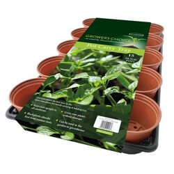  Pot Carry Tray from Ace Hardware Dubai, UNITED ARAB EMIRATES