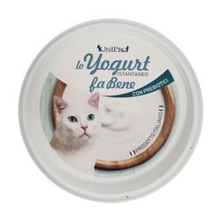 YOGURT FOR CAT from Ace Hardware Dubai, UNITED ARAB EMIRATES