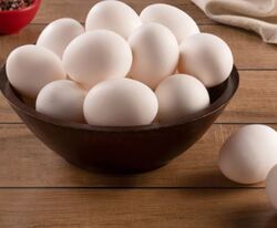 White Eggs suppliers ... from Old Nest Farms Abu Dhabi, UNITED ARAB EMIRATES