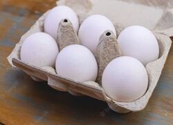 Local white eggs-small  from Old Nest Farms Abu Dhabi, UNITED ARAB EMIRATES