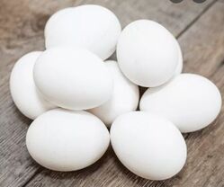 Local white eggs-large from Old Nest Farms Abu Dhabi, UNITED ARAB EMIRATES
