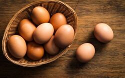Local Brown eggs-small  from Old Nest Farms Abu Dhabi, UNITED ARAB EMIRATES