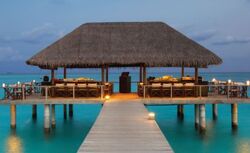 MALDIVES HOLDAY PACK ... from Travelex Travels & Tours Llc Dubai, UNITED ARAB EMIRATES