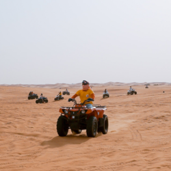 Dune Buggy Dubai PAC ... from Travelex Travels & Tours Llc Dubai, UNITED ARAB EMIRATES