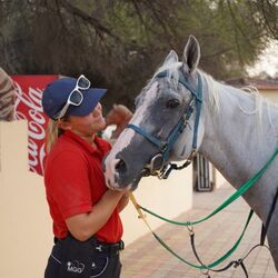 Horse Riding IN DUBA ... from Travelex Travels & Tours Llc Dubai, UNITED ARAB EMIRATES