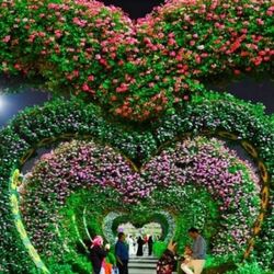 Miracle Garden AND B ... from Travelex Travels & Tours Llc Dubai, UNITED ARAB EMIRATES
