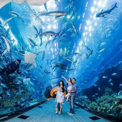 Buy DUBAI AQUARIUM AND UNDERWATER ZOO from Travelex Travels & Tours Llc in UAE