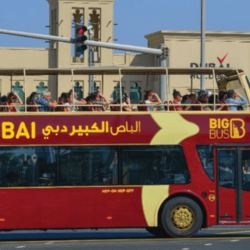 Buy BIG BUS PANORAMIC TOUR from Travelex Travels & Tours Llc in UAE
