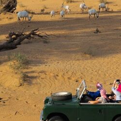 Buy HERITAGE DESERT SAFARI from Travelex Travels & Tours Llc in UAE