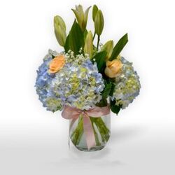 Buy FRESH FLOWERS IN DUBAI  from Dubai Flowers in UAE