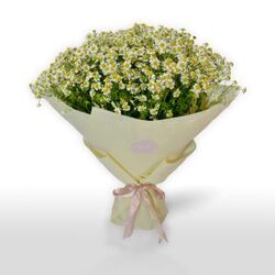 Marketplace for Gift flower bouquet UAE