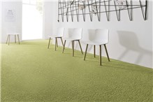 Buy BROADLOOM-ELARA from Marlin Furniture (l.l.c) in UAE