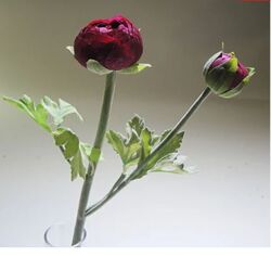 Buy HANDMADE ARTIFICIAL PLANT from Ebarza Furniture in UAE