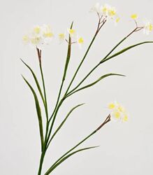 Buy  ARTIFICIAL PLANT  from Ebarza Furniture in UAE