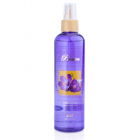 Buy DREAM BODY SPLASH-PASSION from Falcon Detergents Industries in UAE