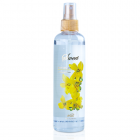 Buy DREAM BODY SPLASH-SWEET from Falcon Detergents Industries in UAE