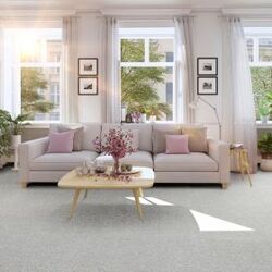 Buy WALL TO WALL CARPET-LILY from Floorworld Llc in UAE