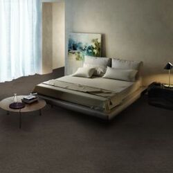 Buy NYLON CARPETS from Floorworld Llc in UAE