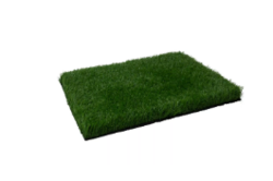 Marketplace for Landscaping grass UAE