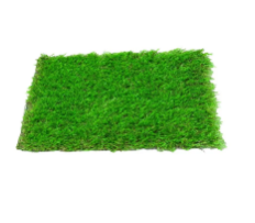 Playground Grass from Z&s Carpets Dubai, UNITED ARAB EMIRATES