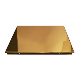 Alum Clip-In Golden Ceiling Tiles  from Gemini Building Materials  Abu Dhabi, 