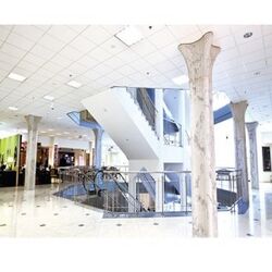 Buy  ACOUSTIC CEILING  from Gemini Building Materials in UAE