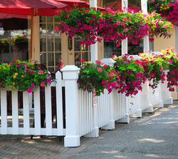 Buy RESTAURANT FENCE from Melody Technical Services in UAE