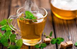 Organic green tea from  Dubai, United Arab Emirates