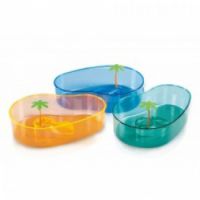 TURTLE TANK from Pet Sky Dubai, 