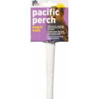 Beach Walk Perch from Pet Sky Dubai, 