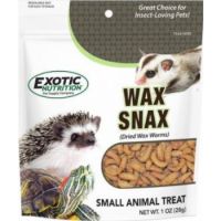 Buy DRIED WAX WORMS  from Pet Sky in UAE