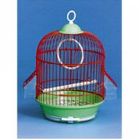 Marketplace for Bird cage UAE