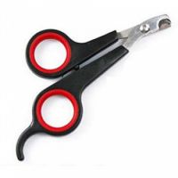 Buy BIRD NAIL SCISSORS from Pet Sky in UAE