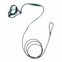 Buy HARNESS FOR PARROT from Pet Sky in UAE