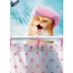 Buy CAT SHOWER from Pet Sky in UAE