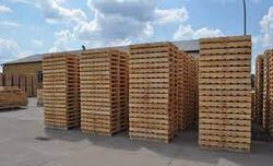 Offers and Deals in UAE For Wooden pallets uae 0555450341