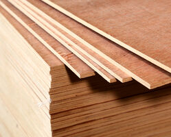 Ordinary Plywood from Madar Building Materials Dubai, UNITED ARAB EMIRATES