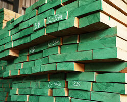 Bosnian Beech Wood from Madar Building Materials Dubai, UNITED ARAB EMIRATES