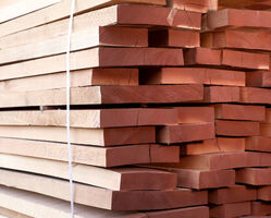 Romanian Beech Wood from Madar Building Materials Dubai, UNITED ARAB EMIRATES
