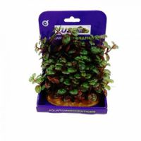Buy AQUARIUM PLANT from Pet Sky in UAE
