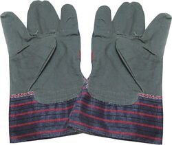 Buy PVC GLOVES  from Safeland Trading L.l.c in UAE