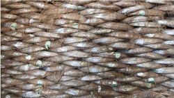 Buy BINDING WIRES  from Safeland Trading L.l.c in UAE