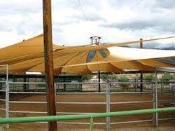 Buy HORSE SHADES from Mister Shade Me in UAE