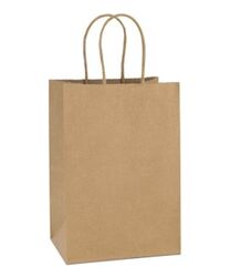 BROWN PAPER BAGS  from Idea Star Packing Materials Trading Llc  Dubai, 