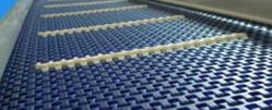 Marketplace for Scanbelt plastic modular belts UAE