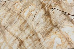 Lacewood from Mina Marble And Granite Trading Llc Sharjah, UNITED ARAB EMIRATES